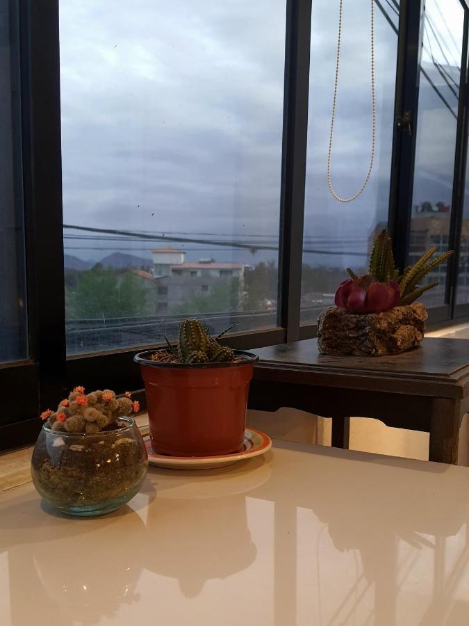 Studio Mirador, Todo Lo Que Necesitas Para Disfrutar 塔里哈 外观 照片